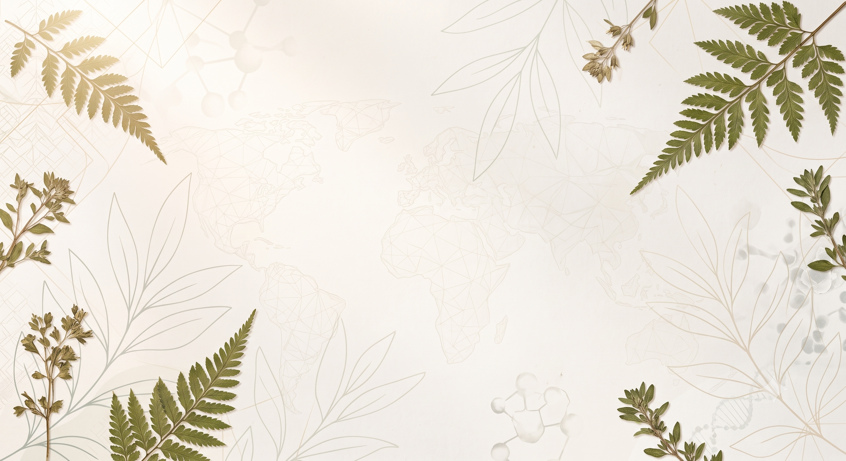 Premium wellness products and health essentials