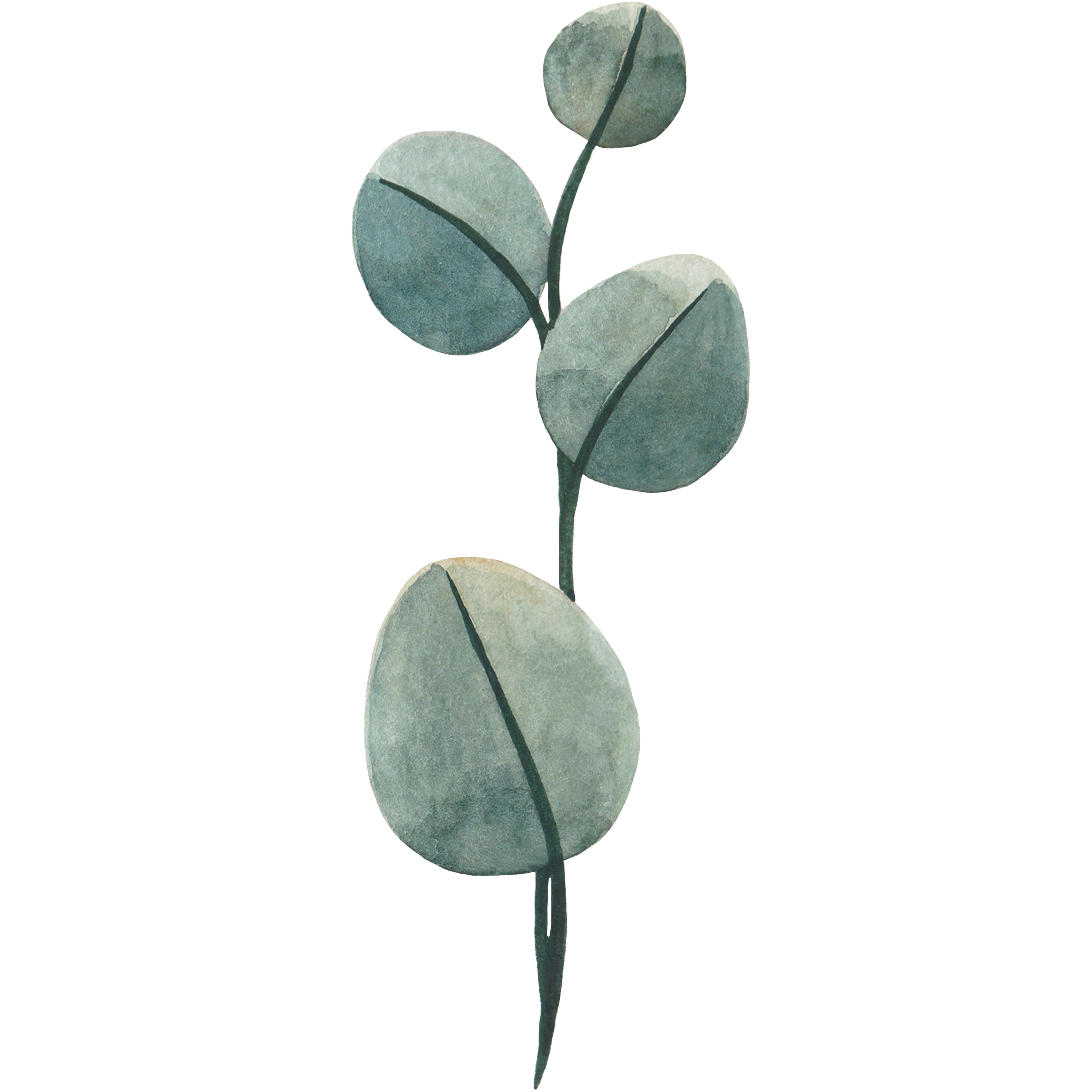 Decorative leaf